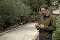 室外地滚球戏球法院大小和材料