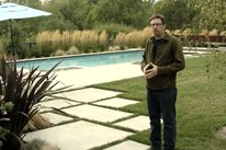 大庭院绿化的想法