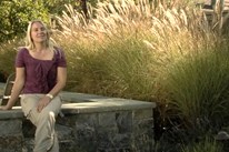 地中海植物景观