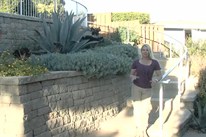 山坡上园艺和园林绿化技巧