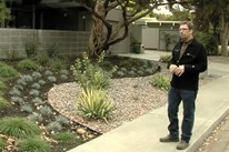 本世纪中叶现代景观设计